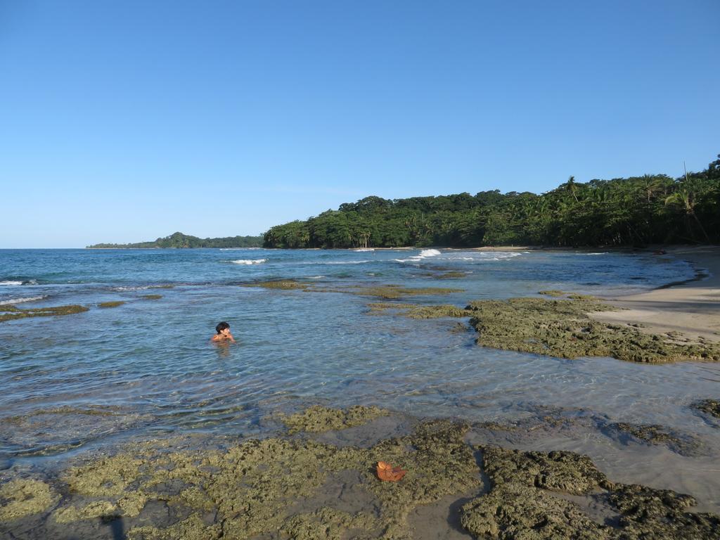 Puerto Viejo de Talamanca La Kukula Lodge מראה חיצוני תמונה