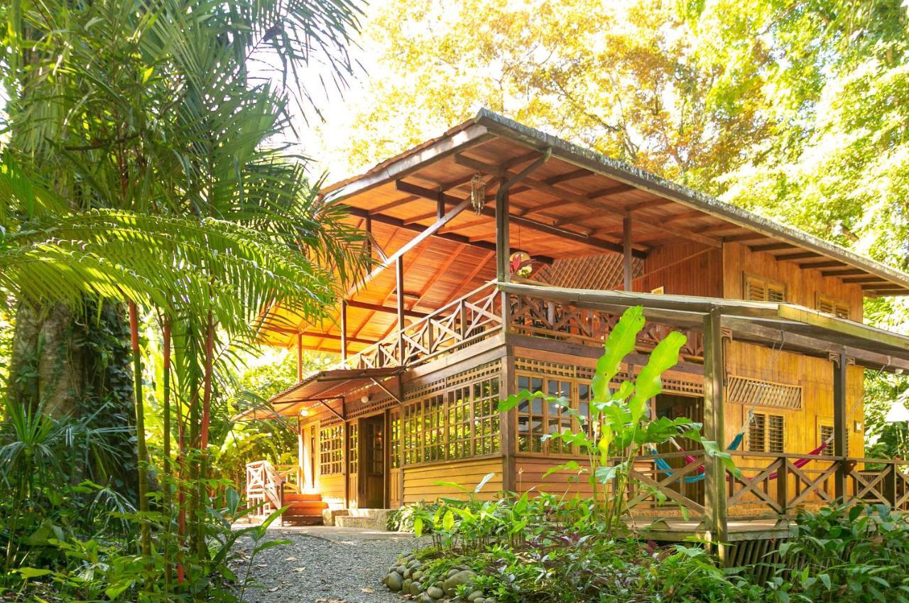 Puerto Viejo de Talamanca La Kukula Lodge מראה חיצוני תמונה